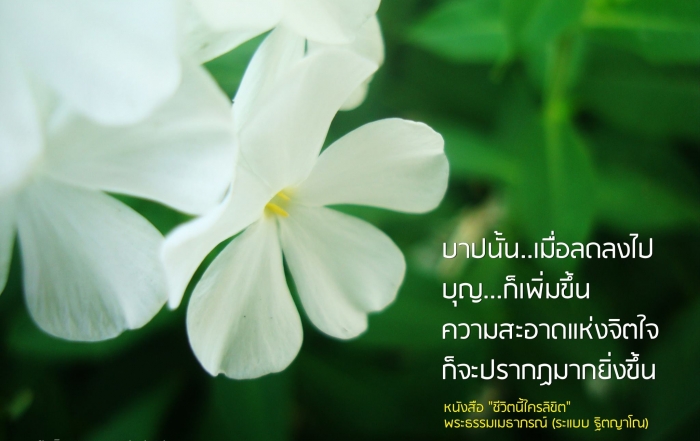 สาระ ๐๘